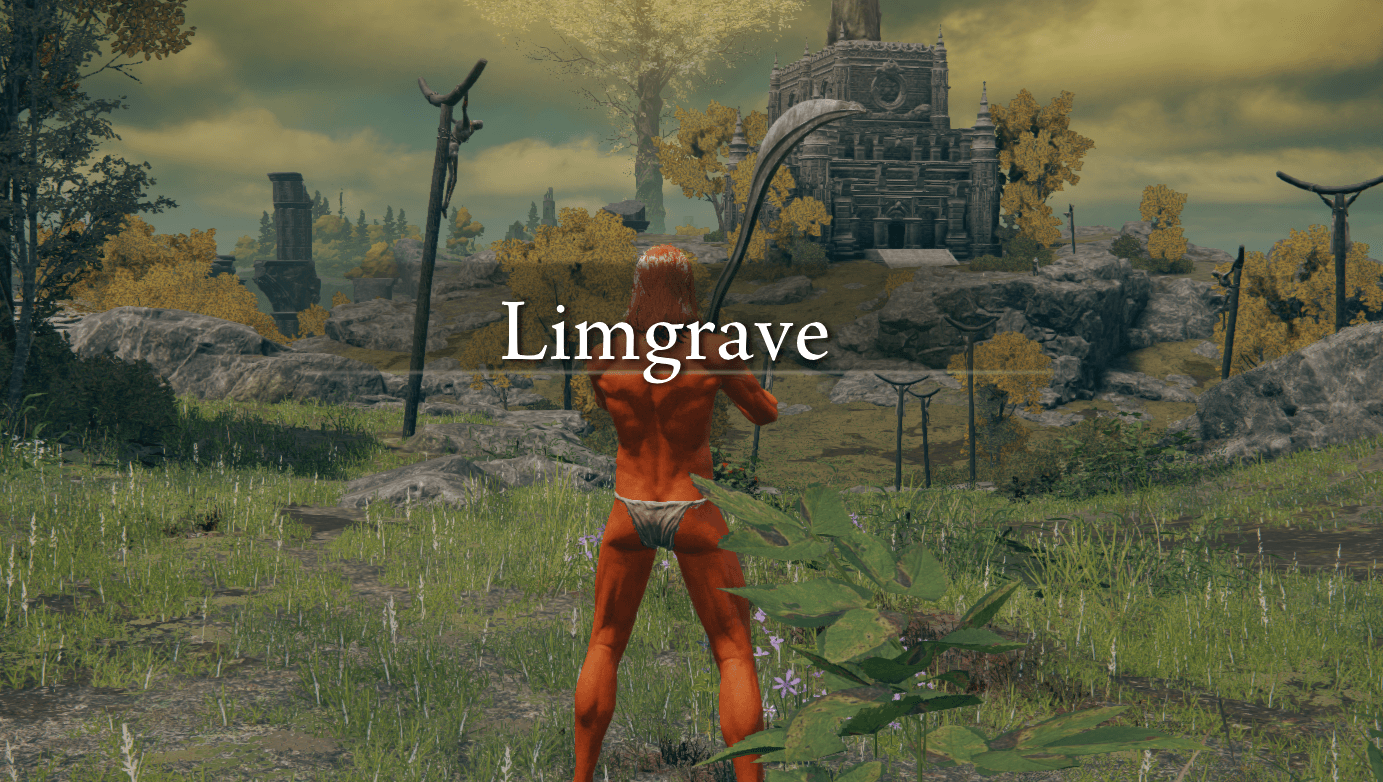 finally past the Tree Sentinel, entering Limgrave